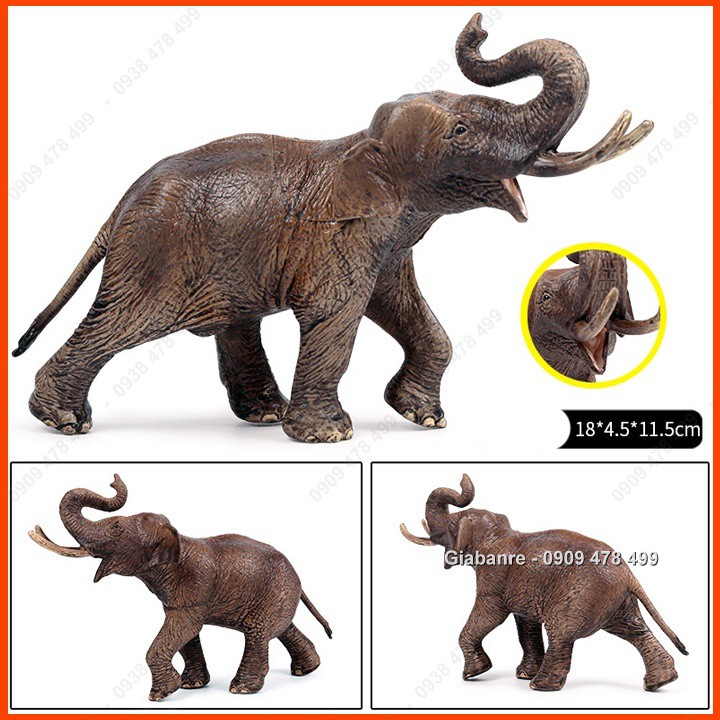 Mô Hình Voi Rừng Châu Phi Châu Á - 7665.9a
