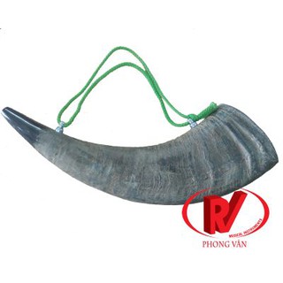 Tù và sừng trâu