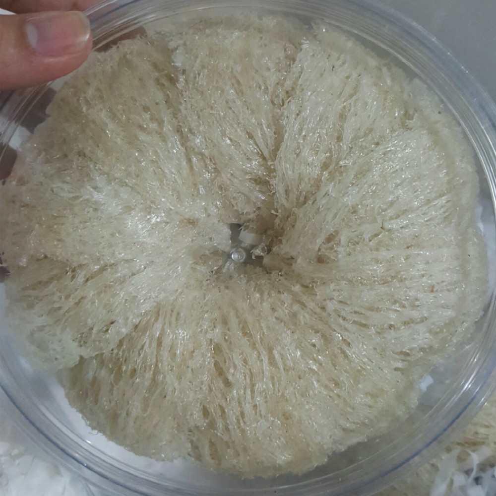 Yến Sào Rút Lông Nguyên Tổ Nha Trang - 10g