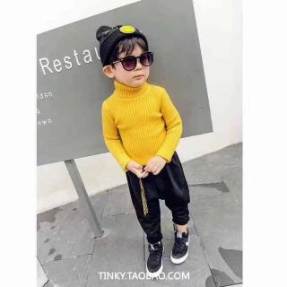 Freeship 99k tq_áo len cổ lọ