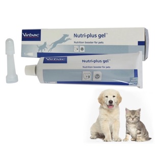 Gel Nutri-Plus dinh dưỡng cho chó mèo