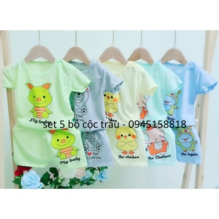 Set 5 bộ cộc trâu vàng chui đầu có cài khuy vai cho bé từ 3-14kg