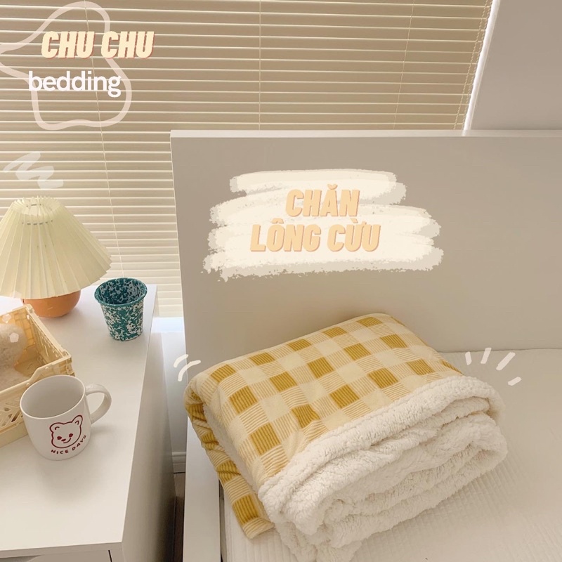 [HÀNG CÓ SẴN]🌟 Chăn lông cừu Gấu Teddy 🐻 Size 2mx2m3