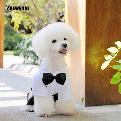 Bộ Quần Áo Tuxedo Cho Thú Cưng - Size S-Xxl
