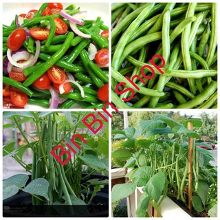 HẠT GIỐNG ĐẬU COVE LÙN (50GRAM)