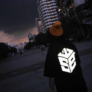 Áo thun SWE big logo