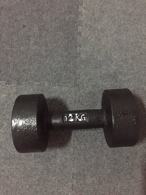 Bộ 1 tạ tay 12kg