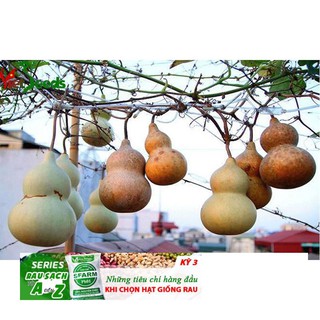 Gói 5 hạt giống bầu hồ lô