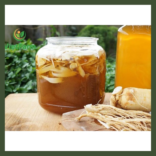 Đẳng Sâm khô 500gr - 1KG