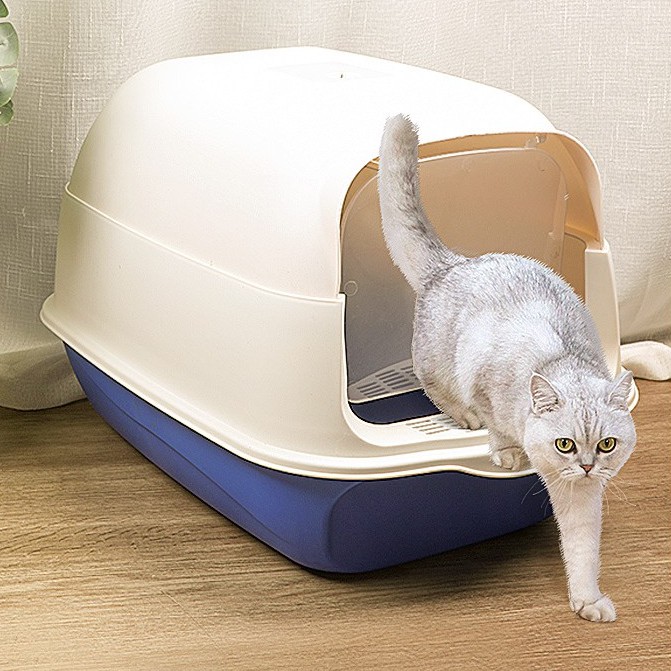 Nhà vệ sinh Combo-phụ kiện cho mèo siêu to