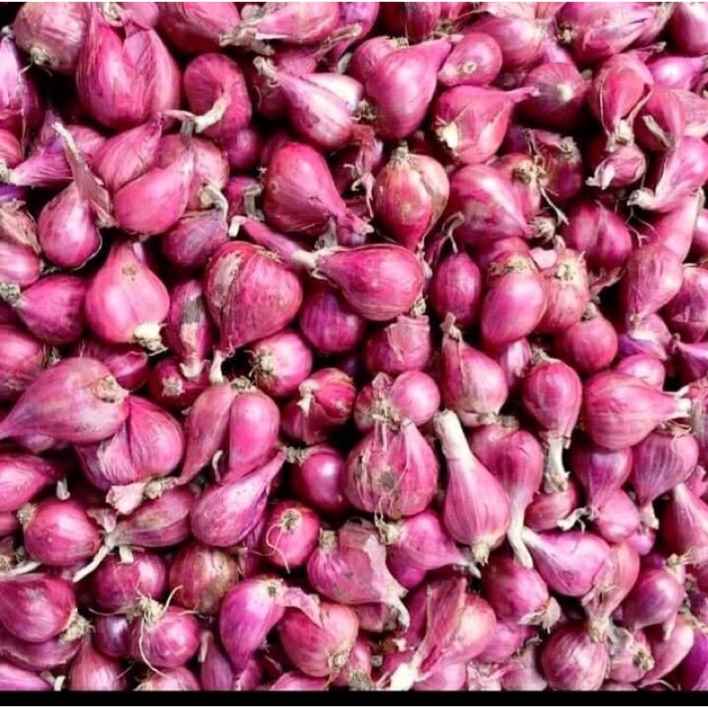 [Loại 1-2kg] Hành tím Lý Sơn-Quảng Ngãi