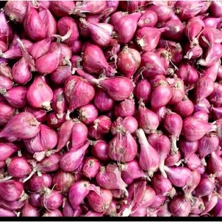 Hành tím Lý Sơn-Quảng Ngãi