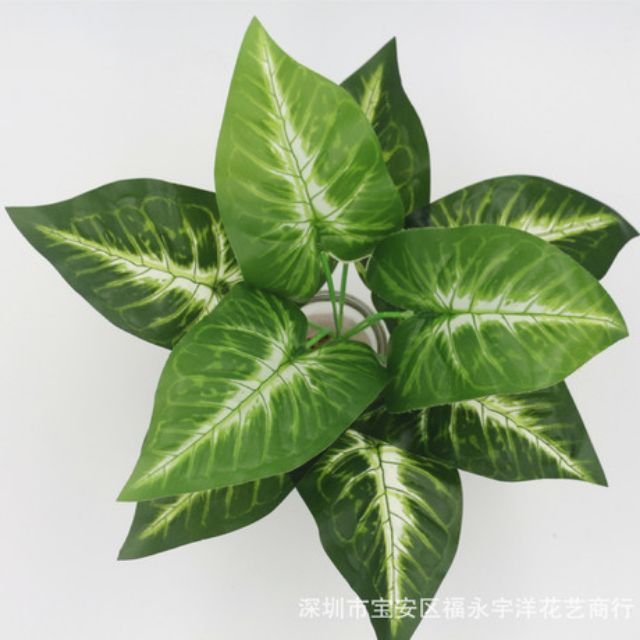 Cụm lá môn trang trí tường - thảm cỏ nhân tạo | BigBuy360 - bigbuy360.vn