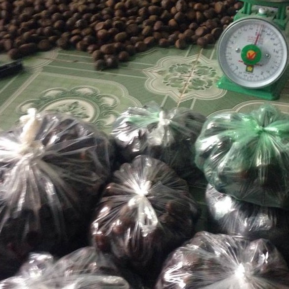 [HẠT DẺ] 1kg HẠT DẺ CAO BẰNG loại to ngon | BigBuy360 - bigbuy360.vn