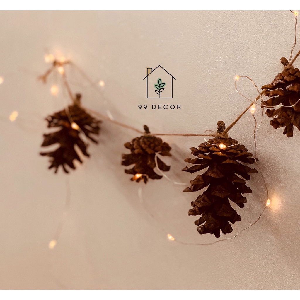 Set 10 Quả Thông Khô Nhiều Kích Thước Trang Trí Noel, Giáng Sinh Tặng Kèm 1m Dây Gai