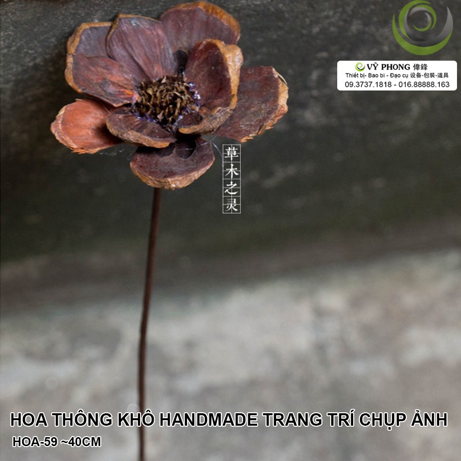 HOA THÔNG KHÔ HANDMADE TRANG TRÍ CHỤP ẢNH THỨC ĂN ĐẠO CỤ CHỤP ẢNH HOA-59