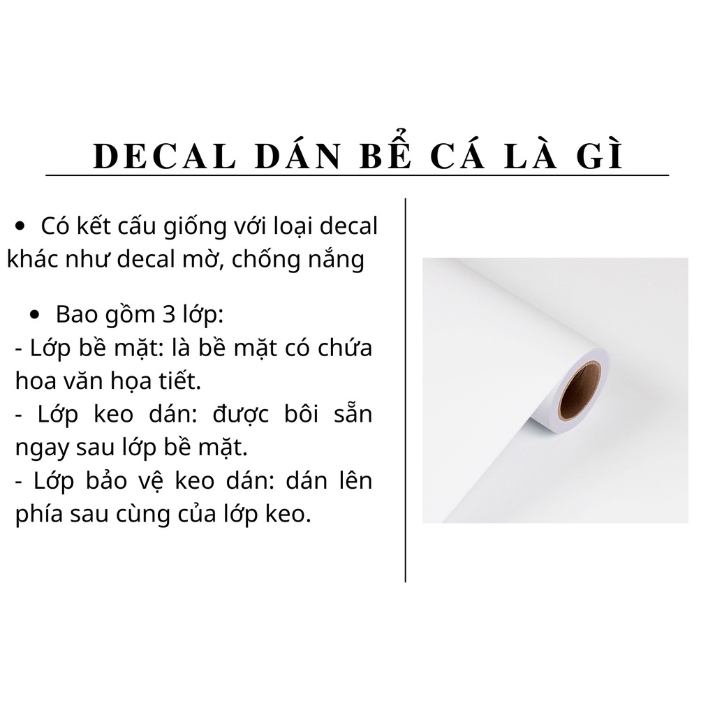 Tranh bộ 3D  dán bể cá 3d nhiều kích thướt chọn lựa