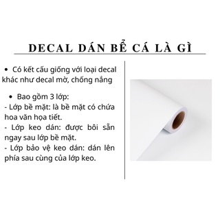 Tranh bộ 3D ( gồm lưng và đáy) dán bể cá 3d nhiều kích thướt chọn lựa ( 60x40, 80x40, 80x50 , 90x50, 100x50...)