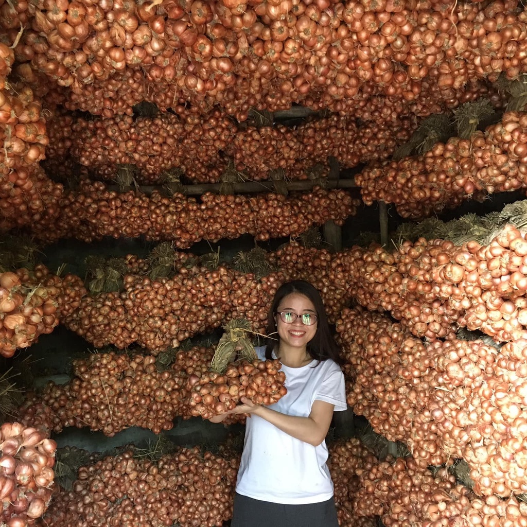 Hành ta khô 2kg, Hành bắc Hải Dương, loại 1 đã chọn lọc