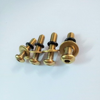 ốc gắn mão winner X ( 4 con )