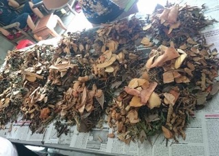 Trà lá nam giảm cân tan mỡ