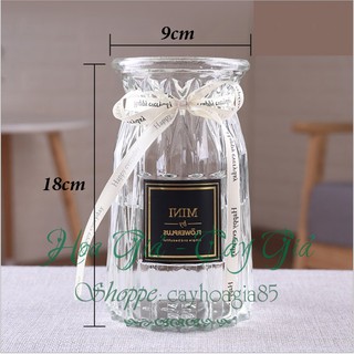 Bình Cắm Hoa Thủy Tinh Múi Khế