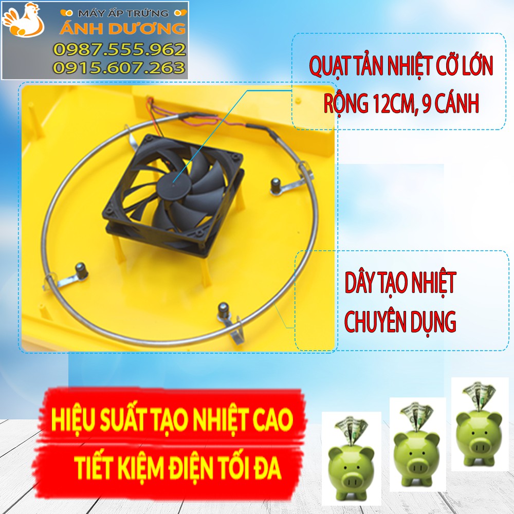 [Giá Rẻ Nhất] - Máy ấp trứng mini Ánh Dương A100 thùng nhựa - Ấp tự động 50 trứng - 1 tầng khay đảo nhôm