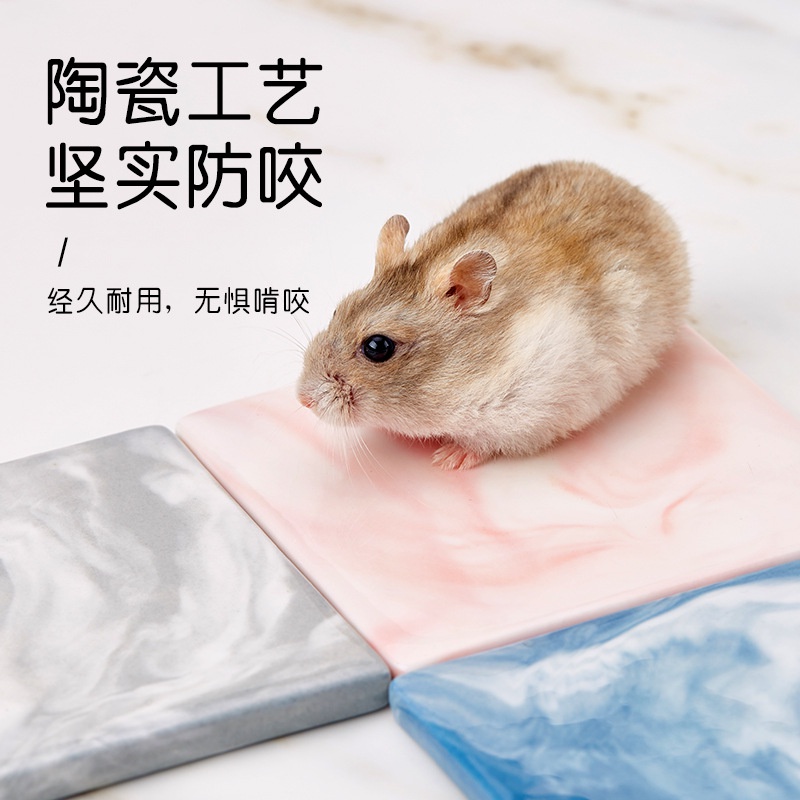 Tấm Đệm Làm Mát Mùa Hè Kết Cấu Dày Dặn Họa Tiết Cẩm Thạch / Hoa / Gấu Vàng Cho Chuột Hamster