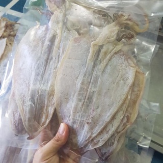 500gr mực size 18 con