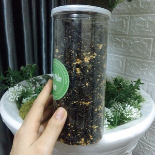 RONG BIỂN CHÁY TỎI MÈ