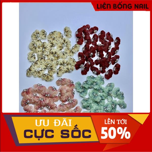 Hoa bột nail - Hoa cúc ruby