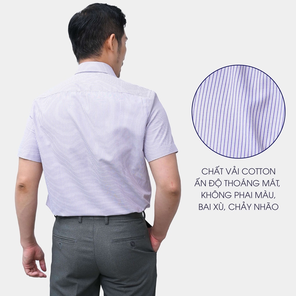 Áo Sơ Mi Nam Ngắn Tay Trung Niên ANCHI Cotton Ấn Độ Cao Cấp Hoạ Tiết Sọc Tím