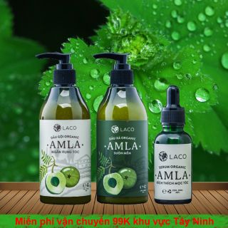 Dầu gội ngăn rụng tóc, dầu xả, serum kích thích mọc tóc Amla