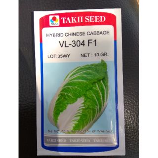 Hạt giống cải thảo Takii / Sakata (Nhật)
