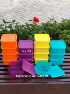 Tupperware - Bộ trữ mát 4 hộp small square 650ml