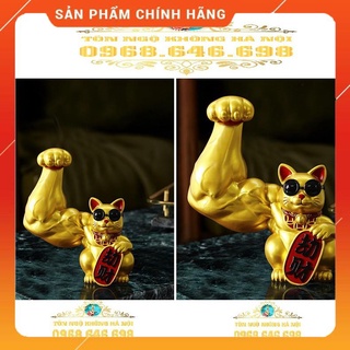 MÈO THẦN TÀI CƠ BẮP HÀNG CÓ SẴN CÓ VIDEO