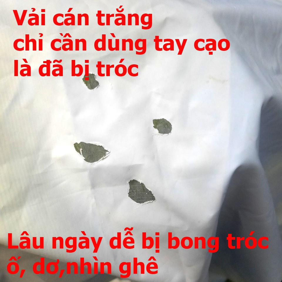 combo 10 lều xông hơi