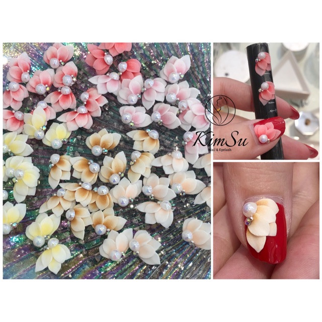 Set hoa bột - cúc góc - set 20 bông