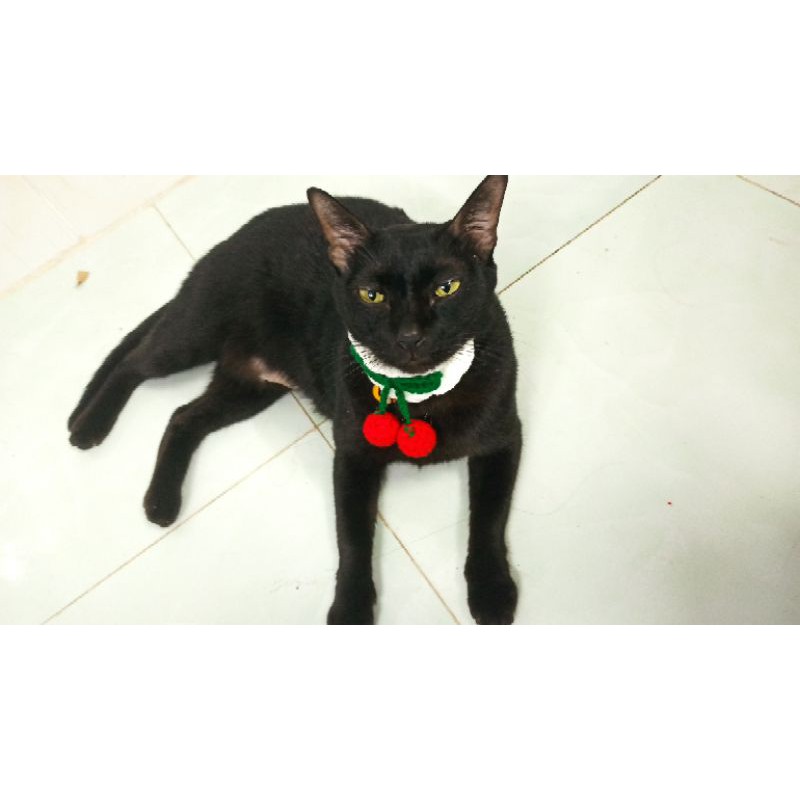 Vòng cổ cherry siêu rẻ dành đáng yêu dành cho chó mèo