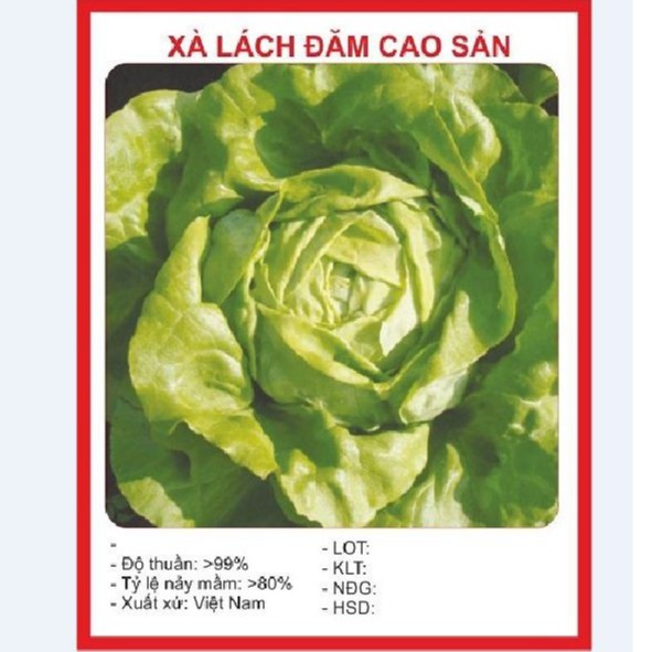 Bộ 4 gói hạt giống rau xà lách