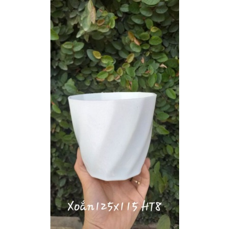 CHẬU TRỒNG XƯƠNG RỒNG, HOA CÂY CẢNH HÌNH XOẮN ỐC