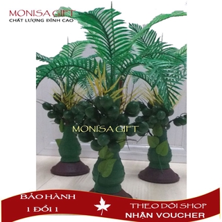 Cây Lá Giả Cây Cau Trang Trí Monisa Gift Mang Tài Lộc Đến Mọi Nhà
