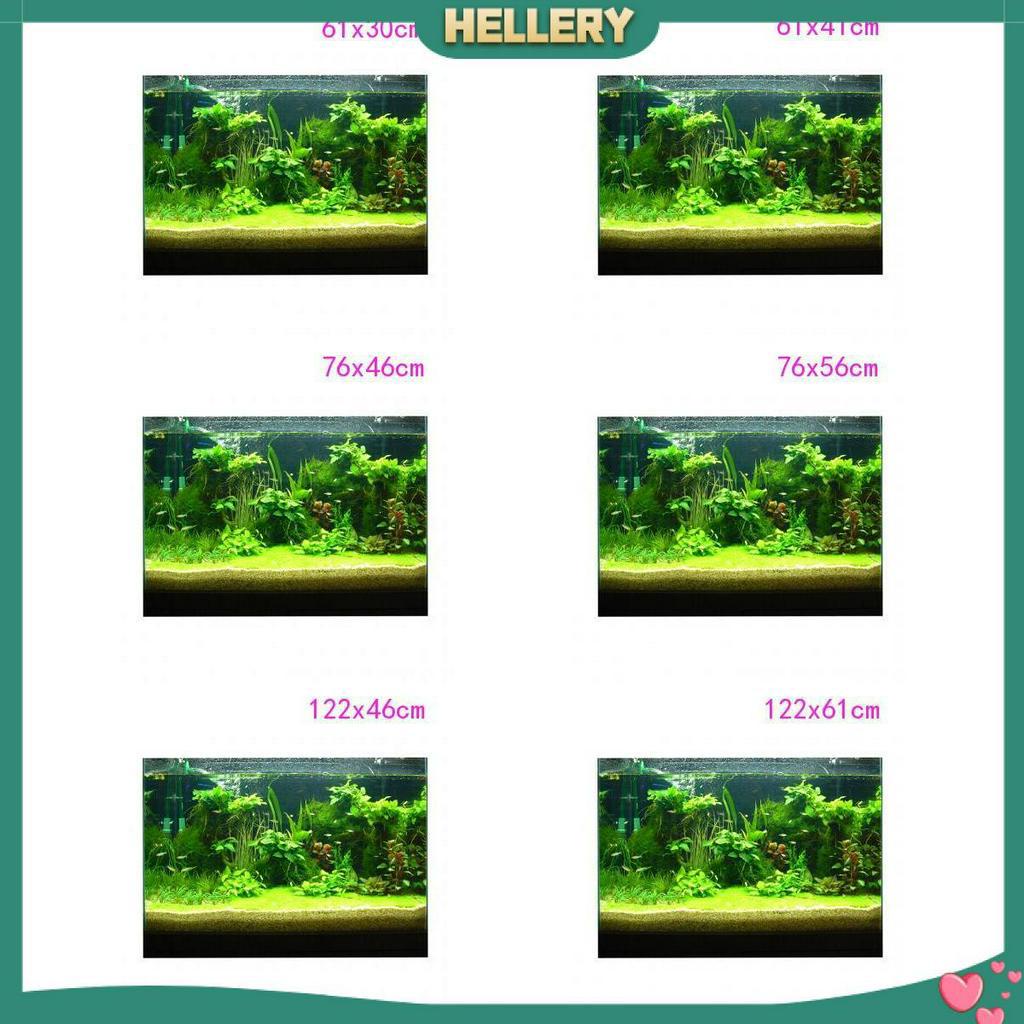 Giấy Dán Tường 3D Độ Nét Cao Trang Trí Bể Cá