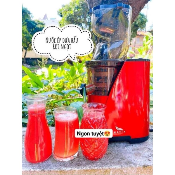 Máy ép chậm Hatix C6 - Máy ép hoa quả trái cây kiệt bã - Bảo hành 12 tháng tại Việt Nam