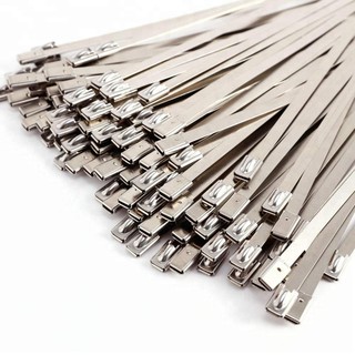 Dây Rút INOX, Dây Lạt INOX, Dây Thít INOX _ 4.6mm , 7.9mm , 10mm  và 12mm