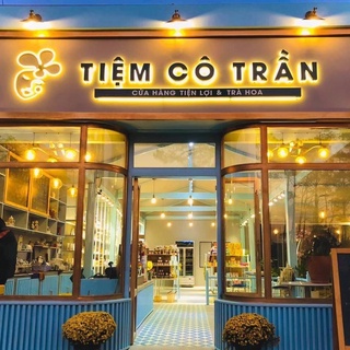 Trà linh chi túi lọc