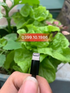 Cáp IP lightning màu đen Beats chính hãng Apple