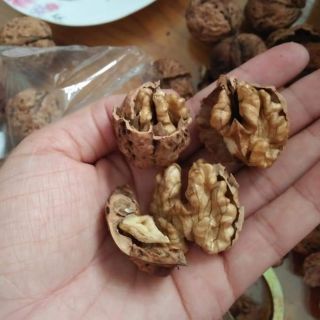1kg Óc chó nếp Tây Bắc chuẩn Loại 1