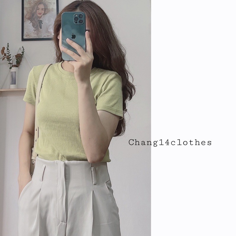 Áo phông nữ trơn chất thun tăm dày dặn màu pastel chất co giãn hàng quảng châu cao cấp