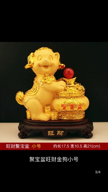 Chó vàng đáng yêu 160